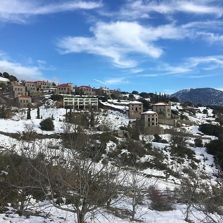 Plethora Arachova Luxury Chalet Ngoại thất bức ảnh