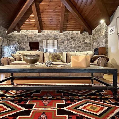 Plethora Arachova Luxury Chalet Ngoại thất bức ảnh