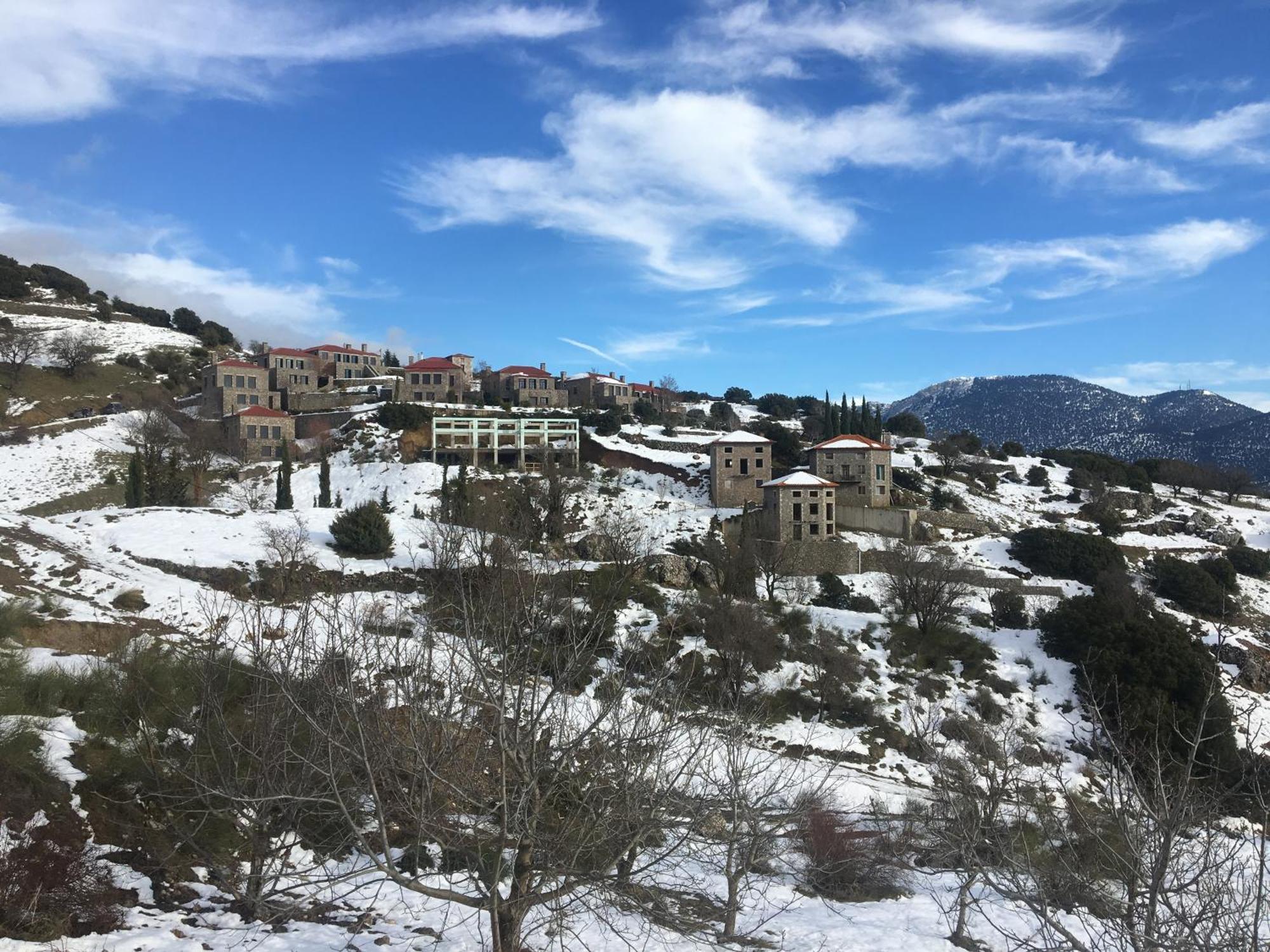 Plethora Arachova Luxury Chalet Ngoại thất bức ảnh